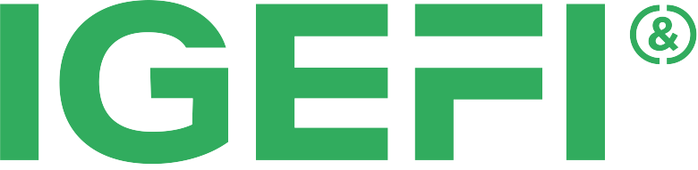 logo-igefi-1536x191